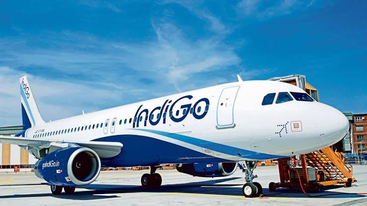 Passenger Hits Pilot on Delhi-Goa IndiGo Flight: Minister Scindia Promises Strong Response